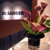 JIL SANDER NAVY